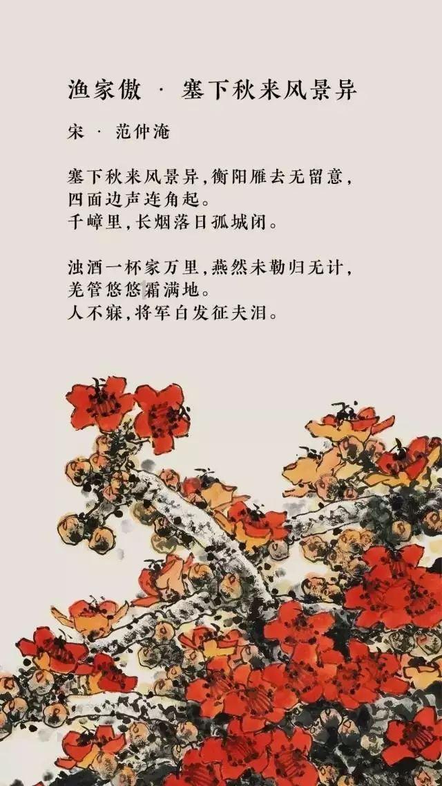 小猫钓鱼正版下载中文版