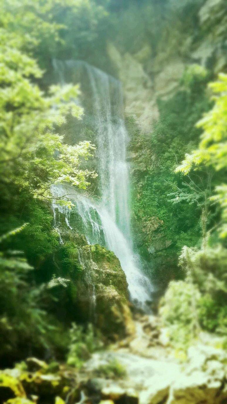 逃出奶油苹果屋